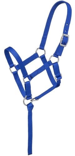 Tough1 Adjustable Suckling Halter - Royal Blue