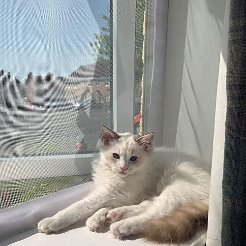 Flat Cats Window Screens - Four Pack - Selection of Sizes/Colours (60cm x 110cm, White Mesh/White Fixings)