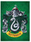 Harry Potter Slytherin Kunstdruck auf Leinwand, 60 x 80 cm, Grün
