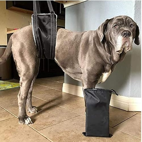 GOVNPJ Tragehilfe Einstellbar Hundegeschirr Hunden Gehhilfe Hund Treppe Lift Support Geschirr Kleine, Mittelgroße und Große Hund Rehabilitation Tragegurt für Rückenmarkinfarkt Arthrosen