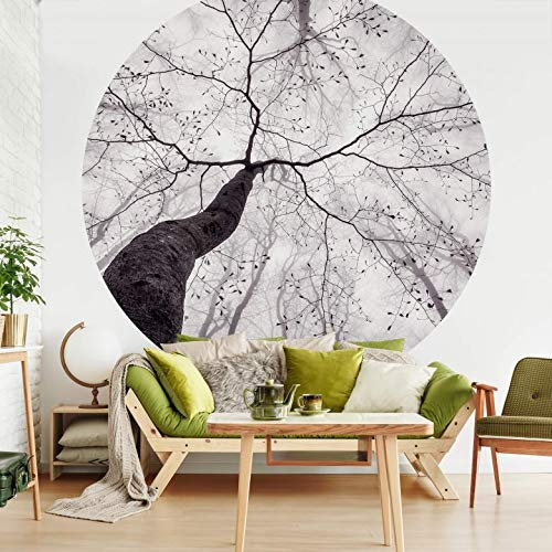Fototapete Vliestapete Rundes Design Fotografie Pavlasek Ein Blick in die Baumkronen Wald Bäume Winter Äste Perspektive Natur Ø140cm