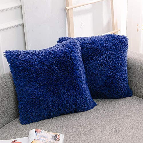 RAILONCH 2Pcs Kissenbezüge Künstlich Langhaar Zierkissen Kissenbezug Kunstfell Flauschig Deko Kisse Sofakissen Zierkissenbezüge für Sofa Büro (Blau)