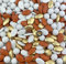 Dragées chocolat variation Terracotta et blanc et or Noisette chocolat blanc 1kg - pas cher de qualité - environ 240 dragées - Fabrication artisanale en France