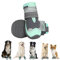 Eyein Hundeschuhe Pfotenschutz, 2 Stück atmungsaktiv Hundeschuhe mit Rutschfester Sohle und reflektierendem Klettverschluss für kleine, mittlere und große Hunde, Sport im Freien, Grün, Größe 3