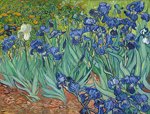 liziciti 5D Diamond Painting Kits 30,5 x 40,6 cm Vollbohrer Van Gogh Diamant Landschaft Malerei Wand Diamant Punkte Dekor DIY (Irises)