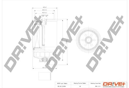 Dr!ve+ Filtro carburante DP1110.13.0278