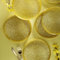 Fecra Rita 6 Piece Dessert Plates Serveware Set 21cm, Yellow