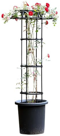 RWUDV Rose Gartenspalier für Kletterpflanzen Rostfreies Vertikales Metallschirmspalier 64,9 Zoll Dekoratives Vertikales Metallschirmspalier Turmrahmen Kletterständergestell für Weinreben