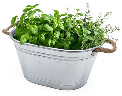 Zinkwanne Blumenkübel oval mit Griffen aus Naturkordel - 43 x 30 cm - Metallwanne Pflanztopf klein silber verzinkt - Garten Deko Wanne Blumentopf Blumenschale Pflanzkübel Pflanzschale Zinkbottich