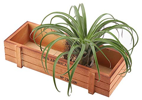 Wnvivi Sukkulententopf aus Holz, Rechteckiger Blumenkasten, Desktop-Ablage, Rustikaler Pflanzkasten aus Holz für Zuhause, Balkon, Garten, Dekoration