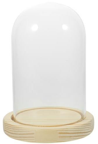 Operitacx Base Espositiva Con Cupola Di Per Fiori Secchi Supporto Trasparente Per Decorazioni e Centrotavola Eleganti