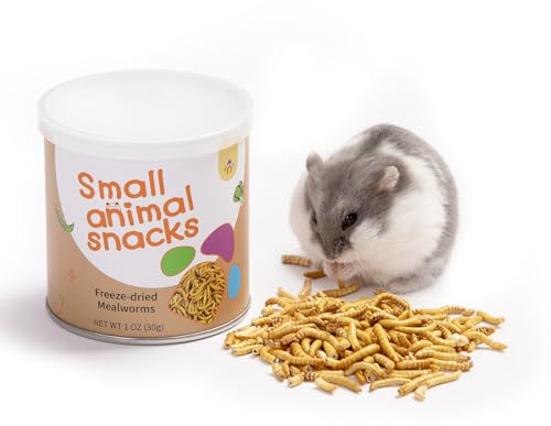 Niteangel Kleintier-Snack & Leckerlis Spielzeug – kleines Tier, natürliches Leckerli für Zwerg, Syrisch, Robo, Hamster, Rennmäuse, Mäuse, Lemmings, Zuckergleiter, Igel, Hühner, Vögel oder andere