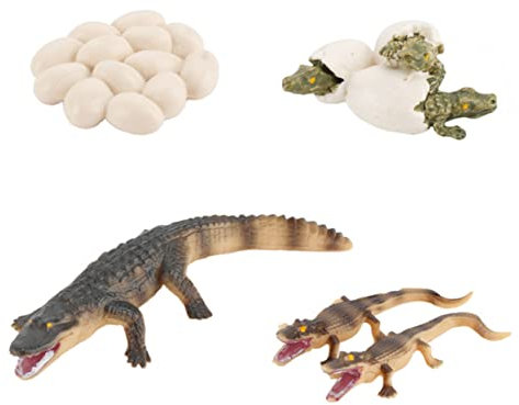 JOINPAYA 1 Satz Krokodil-Wachstums zyklus Puzzle-Spielzeug Lernspielzeug Bonsai-Figur Tierfiguren wohnzimmerdeko inneneinrichtung Künstliches Krokodil-Spielzeug Tierspielzeug für Kinder PVC