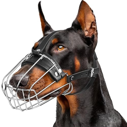CleverTail Metal Doberman Muzzle for Large Sized Dog - Cage Muzzles for Barking and Prevent Biting - Steel Wire Basket Muzzle for Medium and Large Dogs Doberman, Collie, Belgian Malinois, Husky etc.