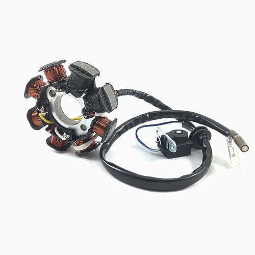 LICHTMASCHINE STATOR - 8 SPULEN für BAOTIAN 50QT BENZHOU YIYING YY50QT REX RS AGM GMX JINAN QINGQI SPEEDY JMSTAR MOTINO KREIDLER FLEX TECH BENERO ADLY SUKIDA CHINA ROLLER 50 139QMA 139QMB GY6 4-TAKT