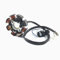 LICHTMASCHINE STATOR - 8 SPULEN für BAOTIAN 50QT BENZHOU YIYING YY50QT REX RS AGM GMX JINAN QINGQI SPEEDY JMSTAR MOTINO KREIDLER FLEX TECH BENERO ADLY SUKIDA CHINA ROLLER 50 139QMA 139QMB GY6 4-TAKT