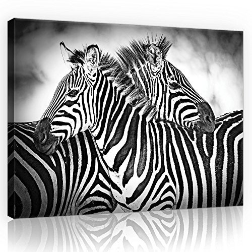 Forwall - Leinwand Bilder - Zebra schwarze und weiße Tiere - 60x40 cm Leinwandbilder - Bild auf leinwand - Wandbild XXL groß Wandbilder für Wohnzimmer Schlafzimmer Wohnzimmerbilder Modern kunstdruck