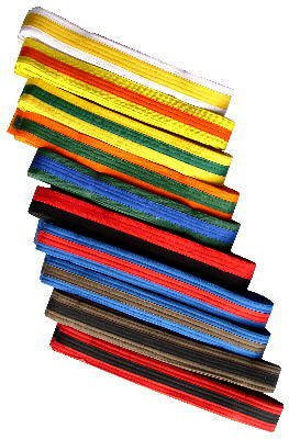 S.B.J - Sportland Budogürtel/Kampfsportgürtel orange-grün, 200 cm