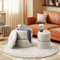 Ckaff Lot de 2 Tabouret de Rangement, Tabouret Repose Pied avec Rangement, Pouf Rangement Ottoman Maquillage en Teddy Velours pour Chambre à Coucher Coiffeuse Salon Chambre Bureau Entrée, Blanc