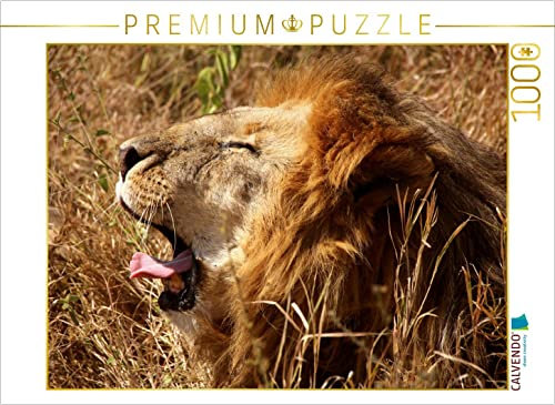 CALVENDO Puzzle Mähnenlöwe in der Serengeti 1000 Teile Puzzle quer | 1000 Teile Lege-Größe 64 x 48 cm Foto-Puzzle für glückliche Stunden