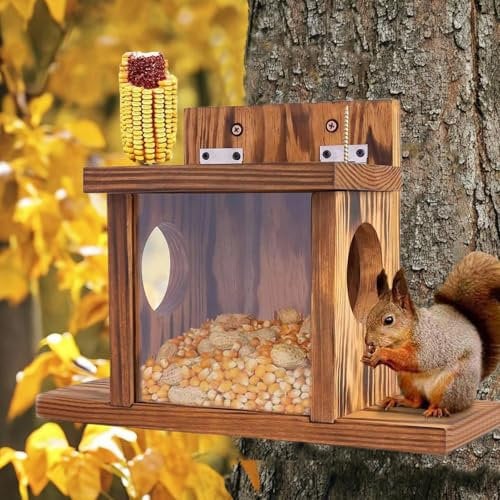 Eichhörnchen Futterhaus und Futterstation für Draußen - Wetterfestes Chipmunk Futterhaus für den Garten