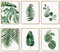 HoozGee Botanische Wandkunstdrucke Tropischen Blättern Leinwanddekoration Pflanzenblatt Boho Wanddekoration Bilder Grüne Boho Poster Badezimmer Wandkunst Dekor 11x14 Zoll (27.9x35.6cm) Ungerahmt