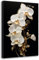 LZIMU Orchideen Leinwandbilder weiße Orchidee Blumengemälde elegante Blüte abstrakte Blumen Bilddrucke moderne Pflanzenkunstwerke Heimdekoration(Bild-2, (40.00 x 60.00 cms))