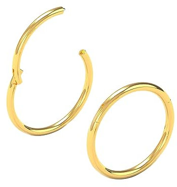 Body CAC 2 Stück-1,2mm×6mm Gold Mini Damen Chirurgenstahl Nasenringe mit Scharnier Edelstahl Ohrring Piercing Helix Knorpel Tragus Ohrringe
