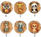 ZoeWei Kindergarderobe Haken, 6 Stück Kleiderhaken für Kinder in Tierform Wandhaken aus Holz Garderobenhaken Kinder Selbstklebender Haken für Kinderzimmer, Handtuchhalter, Türhaken