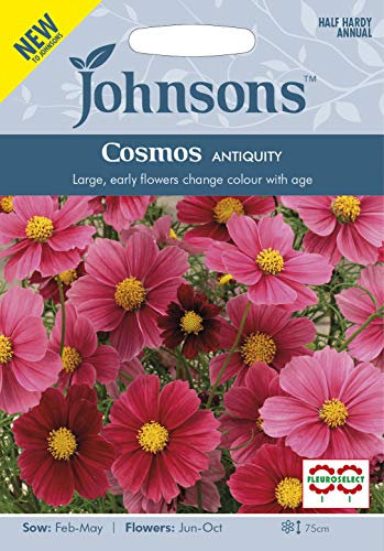 Johnsons Seed Cosmos Antiquity Seed