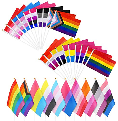 Pride Flag, Pride Accessories Rainbow Party Decorations, 20Pcs Lgbtq Accessories Lesbian Gay Trans Bisexual Flag On Sticks, Handheld Mini Pride Flags for Pride Festival Party Decorations, Parades