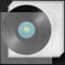 SLTAXAR 50 Stück Schallplatten Hüllen 12 zoll Klarsichthüllen für LP Schutzhüllen Außen 12 inch Glasklare LP Cover Außenhüllen 0.16mm Dicke Vinyl Schallplattenhüllen Hüllen für LP Schallplatten