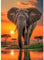 MAXBYE Elefant Diamond Painting Art Kits, 5D Diamond Kunst Komplett Set für Erwachsene Anfänger, DIY Gem Kunsthandwerk Diamant Bilder Kristall Kreuzstich Home Wall Decor Kreative Geschenke 30x40cm