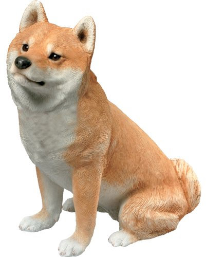 Sandicast Original Größe rot Shiba Inu Skulptur, weiß, Mid Size
