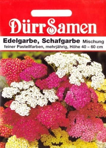 Schafgarbe Samen Edelgarbe Schafgarbensamen Achillea millefolium, ca. 150 SamenSchnittblume ca 150 Korn Bienen Insekten Freundlich Saatgut Garten Hochbeet Kübel Dürr Samen