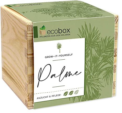Feel Green - WE CREATE NATURE ecobox, Palme, Pflanzen Aus Der Holzbox 11x11x10cm, Made in Austria, Nachhaltige Geschenkidee, Grow Your Own/Anzuchtset
