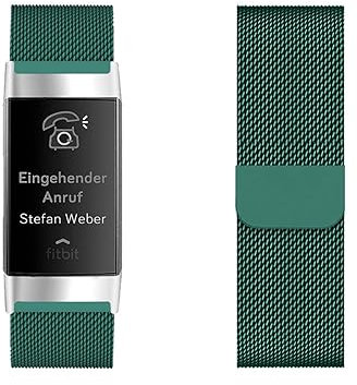 LXURY Metall Edelstahl Armbänder Kompatibel mit Fitbit Charge 2 Armband Magnetisch Einstellbar Bänder für Fitbit Charge 2 Mesh Ersatzarmband für Fitbit Charge 2 Uhrenarmband (13)