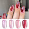 Born Pretty Cat Magnetic Eye Gel Polarlichter - U V Nagellack Glitzer Jelly Magnetisch Gel Nagellack Maniküre und Nagelkunst DIY zu Hause 4PCS