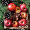 Servietten Papier 33x33cm 20 Stück rote Äpfel & Tannenzapfen - hochwertig & nachhaltig - Einweg Winterservietten 3-lagig - Papierservietten für Winter & Weihnachten Gastronomie Alltag - Rot Grün