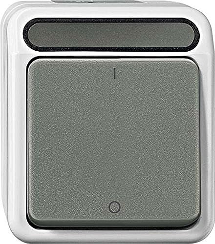 Schneider Electric MEG3112-8029 Ausschalter, 2-polig, lichtgrau, AQUASTAR