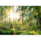 murando - Vlies Fototapete Wald 200x140 cm - Foto Tapete Schlafzimmer Wohnzimmer Moderne Vliestapete XXL Wandtapete Motivtapeten Bildtapete 3d Effekt Wand Dekoration - Waldlandschaft c-C-0032-a-b