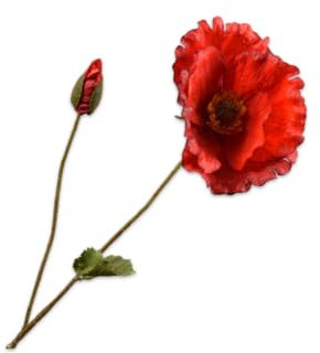 Silk-ka Künstliche Blume – Seidenblume, Mohn, Rot, 68 cm, Vorteilsangebot pro 2 Stück