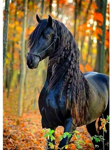 DAERLE 5D Diamond Painting Beau cheval, DIY Broderie Diamant Painting Kit Complet Joli cheval, Peinture Diamant Artisanat Strass Point de Croix Painting pour Adultes, Enfants 30x40 cm