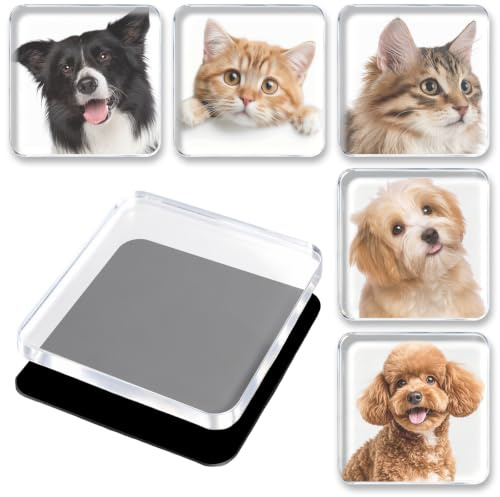 20 Stück Fotomagnete Selbst Gestalten, Acryl Kühlschrankmagnet Set 5x5 cm | Transparenter Magnetischer Bilderrahmen mit Selbstklebender Rückseite & Magnetfolie,DIY Basteln für Fotos,Karten & Magazin