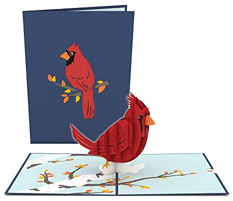 Lovepop Cardinal Pop Up Karte 3D Karte Geburtstagskarte Trauerkarte Tierkarte Vogel Karte