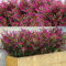 WILLBOND 12 Paquets Buissons de Lavande Artificielle Fleurs Artificielles pour Lavande de Verdure Artificielle Plantes Résistantes à UV pour Arrangement Floral, Centre de Table, Jardin Maison