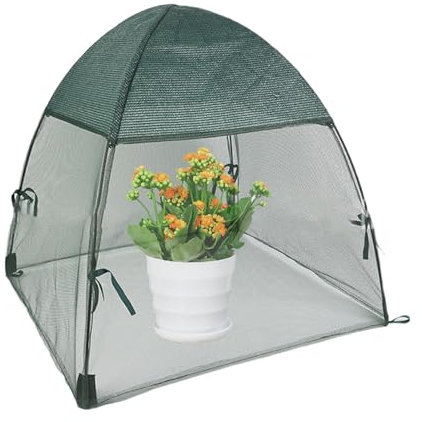 Pflanzenschutz Gewächshaus Winterfest | Gewächshaus für Tomaten | Gewächshaus Foliengewächshaus 56x56x56cm | Winter Foliengewächshaus, Tomatenhaus, Frostschutzzelt für Pflanzen Frostschutz