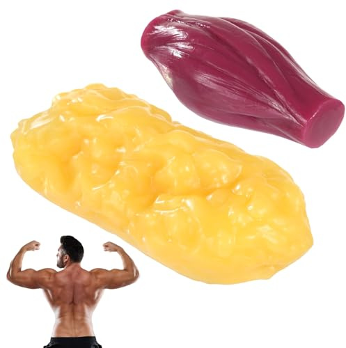 Ultra-realistisches Anatomiemodell für menschliche Muskeln und Fett, 1 kg