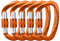 Paliston 25kN Kletterkarabiner Aluminium Schraubkarabiner D Form Karabiner Karabinerhaken Orange 5 Stück