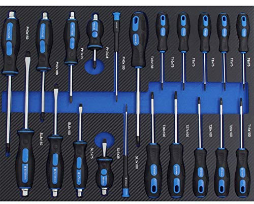 TRUTZHOLM Profi Werkstattwagen Einlagen Werkzeugeinlage in verschiedenen Ausführungen aus Schaumstoff 520x400mm (Schraubendreher-Set)